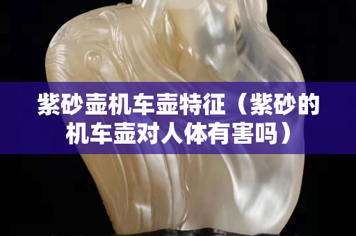 紫砂壶机车壶特征（紫砂的机车壶对人体有害吗）