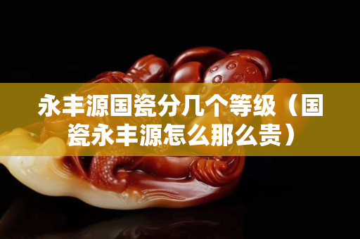 永丰源国瓷分几个等级（国瓷永丰源怎么那么贵）