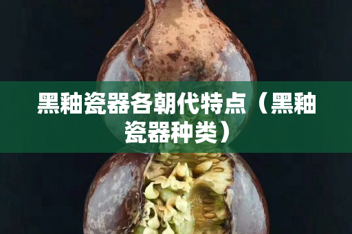黑釉瓷器各朝代特点（黑釉瓷器种类）