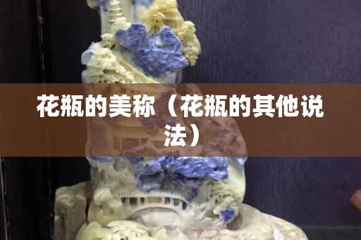 花瓶的美称（花瓶的其他说法）
