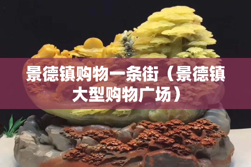 景德镇购物一条街（景德镇大型购物广场）