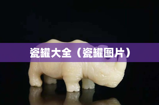 瓷罐大全（瓷罐图片）