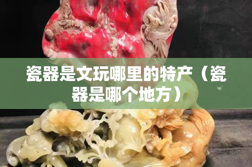 瓷器是文玩哪里的特产（瓷器是哪个地方）