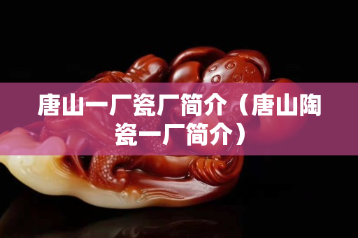 唐山一厂瓷厂简介（唐山陶瓷一厂简介）