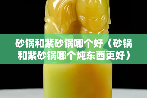砂锅和紫砂锅哪个好（砂锅和紫砂锅哪个炖东西更好）