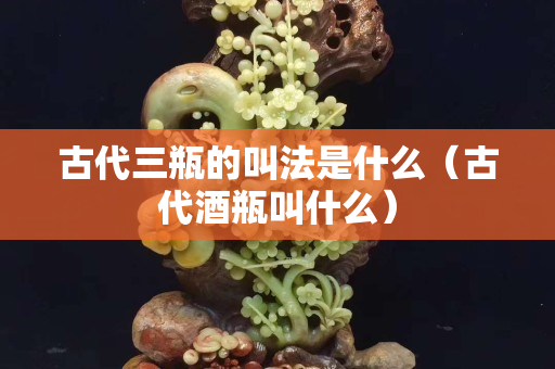 古代三瓶的叫法是什么（古代酒瓶叫什么）