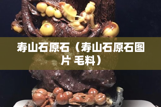 寿山石原石（寿山石原石图片 毛料）