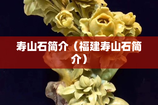 寿山石简介（福建寿山石简介）