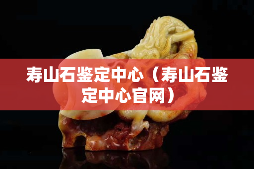 寿山石鉴定中心（寿山石鉴定中心官网）