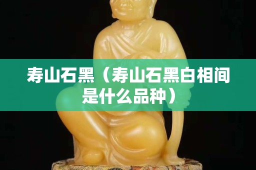 寿山石黑（寿山石黑白相间是什么品种）