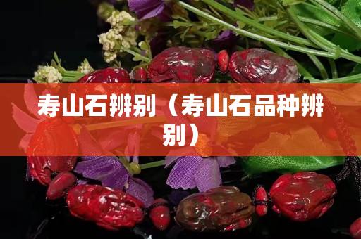 寿山石辨别（寿山石品种辨别）
