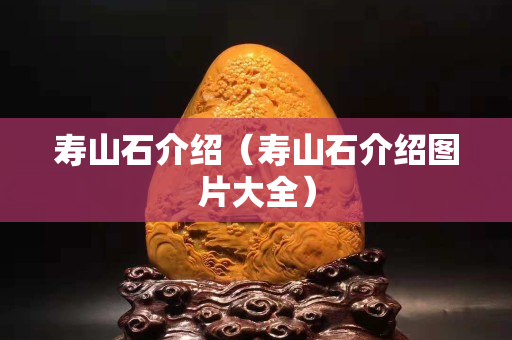 寿山石介绍（寿山石介绍图片大全）