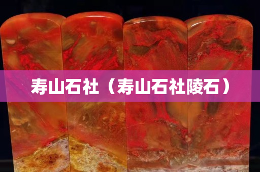 寿山石社（寿山石社陵石）
