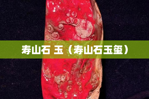 寿山石 玉（寿山石玉玺）