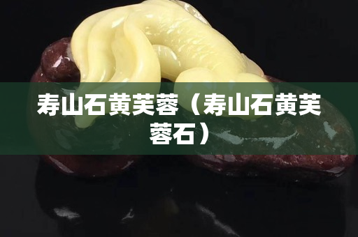 寿山石黄芙蓉（寿山石黄芙蓉石）