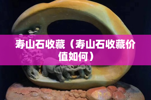 寿山石收藏（寿山石收藏价值如何）