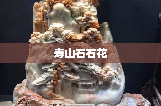 寿山石石花