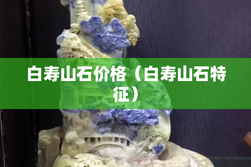 白寿山石价格（白寿山石特征）