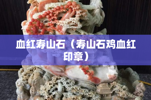 血红寿山石（寿山石鸡血红印章）