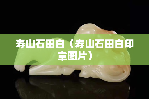 寿山石田白（寿山石田白印章图片）