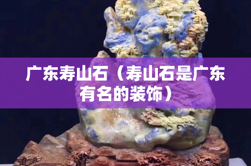 广东寿山石（寿山石是广东有名的装饰）