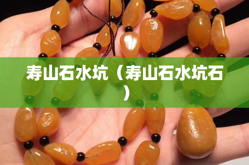 寿山石水坑（寿山石水坑石）