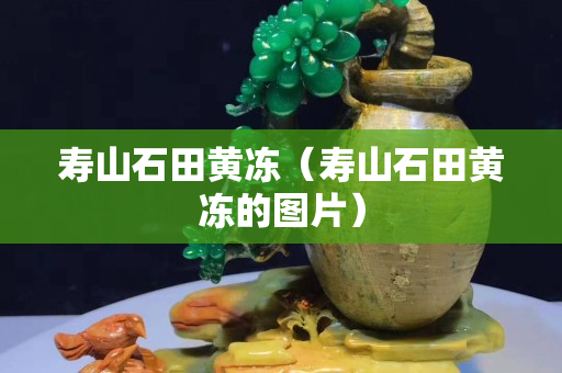 寿山石田黄冻（寿山石田黄冻的图片）