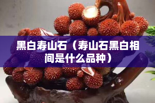黑白寿山石（寿山石黑白相间是什么品种）