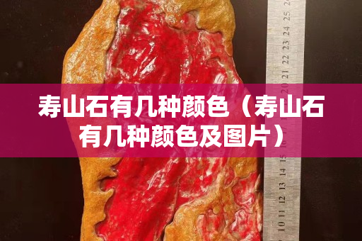 寿山石有几种颜色（寿山石有几种颜色及图片）