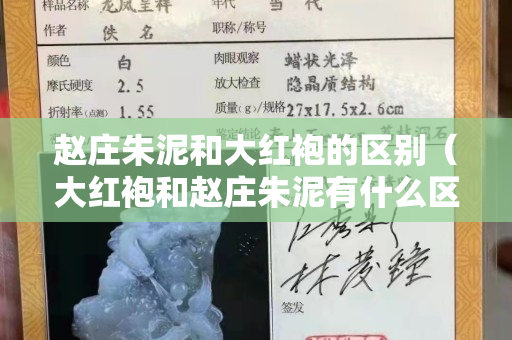 赵庄朱泥和大红袍的区别（大红袍和赵庄朱泥有什么区别）