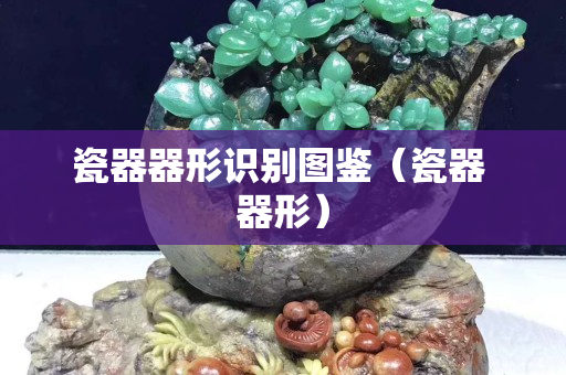 瓷器器形识别图鉴（瓷器 器形）
