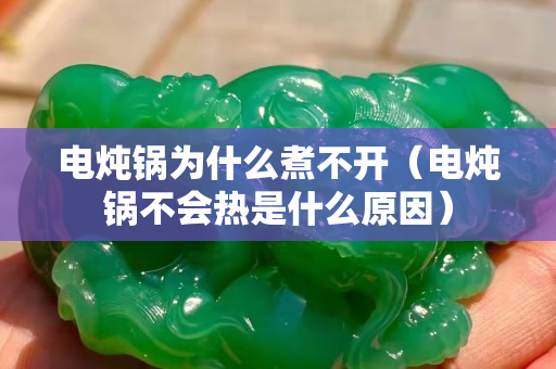 电炖锅为什么煮不开（电炖锅不会热是什么原因）