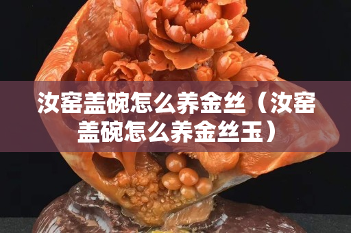 汝窑盖碗怎么养金丝（汝窑盖碗怎么养金丝玉）