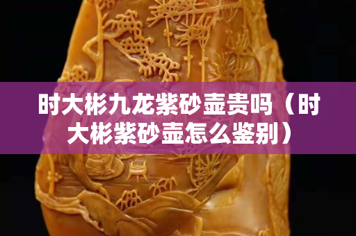 时大彬九龙紫砂壶贵吗（时大彬紫砂壶怎么鉴别）