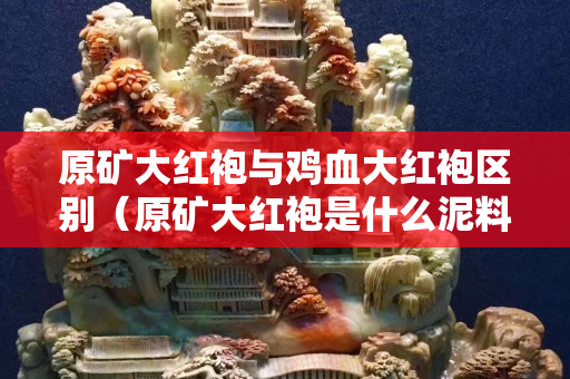 原矿大红袍与鸡血大红袍区别（原矿大红袍是什么泥料）