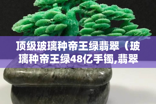 顶级玻璃种帝王绿翡翠（玻璃种帝王绿48亿手镯,翡翠标王）