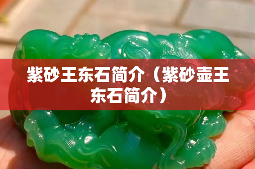 紫砂王东石简介（紫砂壶王东石简介）