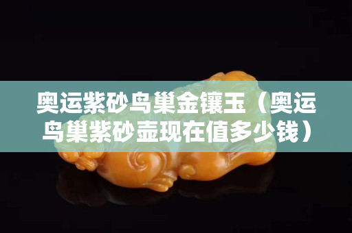 奥运紫砂鸟巢金镶玉（奥运鸟巢紫砂壶现在值多少钱）