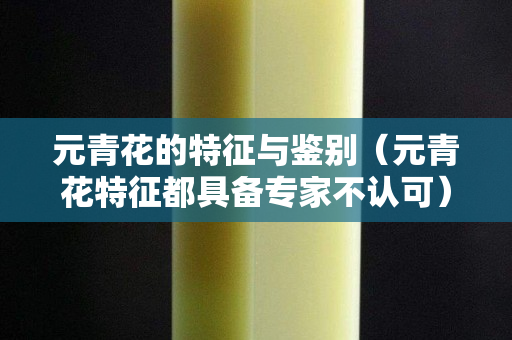 元青花的特征与鉴别（元青花特征都具备专家不认可）