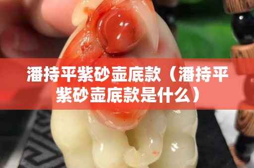 潘持平紫砂壶底款（潘持平紫砂壶底款是什么）