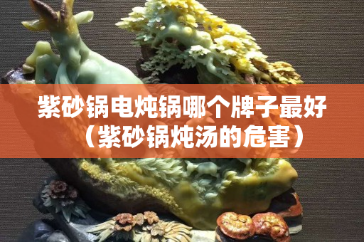 紫砂锅电炖锅哪个牌子最好（紫砂锅炖汤的危害）