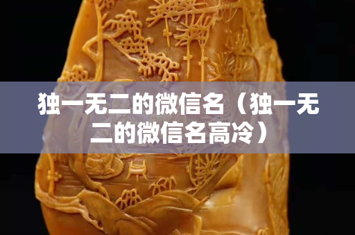独一无二的微信名（独一无二的微信名高冷）