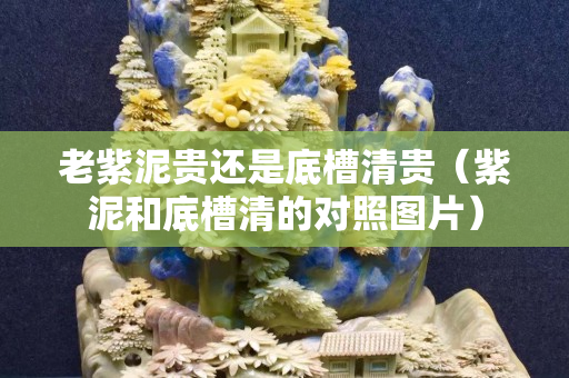 老紫泥贵还是底槽清贵（紫泥和底槽清的对照图片）