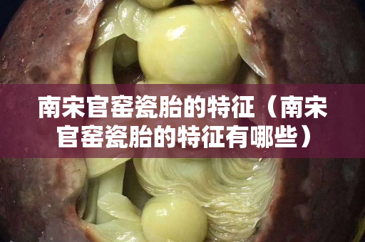 南宋官窑瓷胎的特征（南宋官窑瓷胎的特征有哪些）