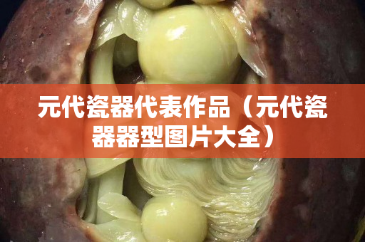 元代瓷器代表作品（元代瓷器器型图片大全）