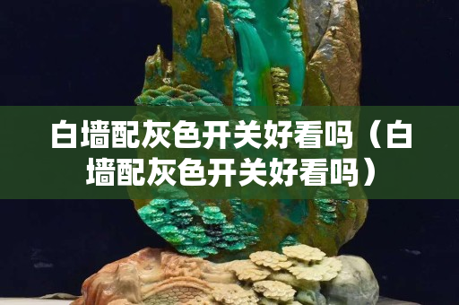 白墙配灰色开关好看吗（白墙配灰色开关好看吗）
