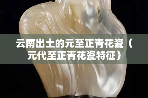 云南出土的元至正青花瓷（元代至正青花瓷特征）