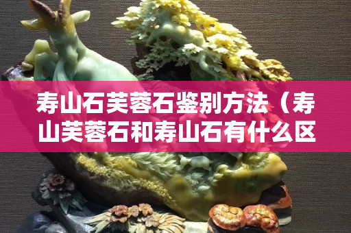 寿山石芙蓉石鉴别方法（寿山芙蓉石和寿山石有什么区别）