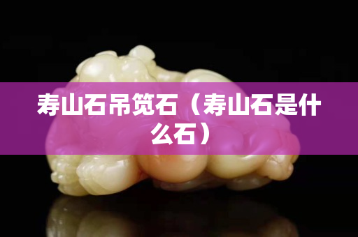 寿山石吊笕石（寿山石是什么石）