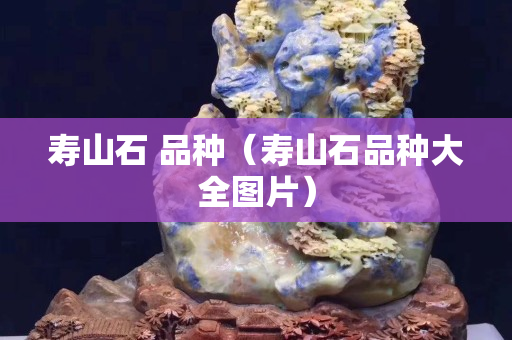 寿山石 品种（寿山石品种大全图片）
